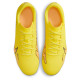 Nike Vapor 15 Club FG/MG